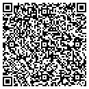 QR code with Carlson Testing Inc contacts