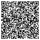 QR code with Cleotis Construction contacts