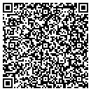 QR code with Proformance Systems contacts