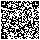 QR code with Chestnut Hill Designs contacts