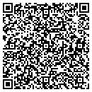 QR code with Chameleon Painting contacts
