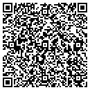 QR code with Corvettes Wanted Inc contacts
