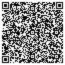 QR code with Cema Technologies Inc contacts