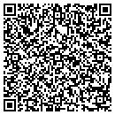QR code with Pysanky Crafts contacts