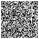 QR code with Practical Rent A Car contacts