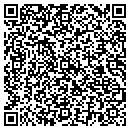QR code with Carpet Connection Delawar contacts