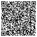 QR code with Ceglar Sports contacts