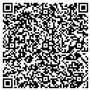 QR code with Professional Services contacts