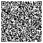 QR code with Blue's Computer Systems contacts