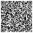 QR code with Pro Logic Machine Co contacts