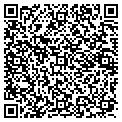 QR code with Gigex contacts