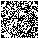 QR code with C W Howard Insurance contacts