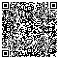 QR code with V Wiley contacts
