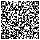 QR code with Pyrotechnico contacts