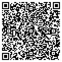 QR code with Amvets contacts