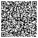 QR code with Pitt Copy Cat contacts