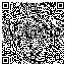 QR code with Cochran Engineering contacts