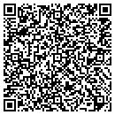QR code with Professional & Public contacts