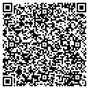 QR code with Professional Infusions contacts