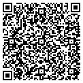 QR code with E-Glass contacts
