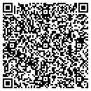 QR code with Pyramid Developers Inc contacts