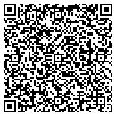QR code with Pytlik Design Assoc contacts
