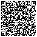 QR code with Pdscad contacts