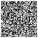 QR code with Project Tile contacts