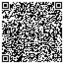 QR code with Pure Polymers contacts