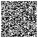 QR code with BZI Publishers' Rep contacts