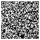 QR code with Carrier Access Corp contacts