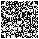 QR code with Publicsafetywebhostcom contacts