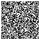 QR code with Premium Excavating contacts