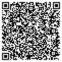 QR code with FLW Inc contacts