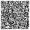 QR code with Ibsi contacts