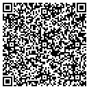 QR code with Professional Connection contacts