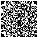 QR code with Prototype Systems contacts