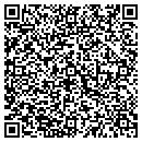 QR code with Production Systems Tech contacts