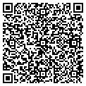 QR code with Lily contacts