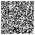 QR code with Daily Item The contacts