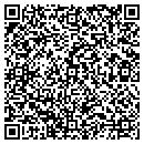 QR code with Camelia Carpet Co Inc contacts