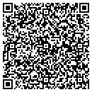 QR code with Professional Cnstr Services Group contacts