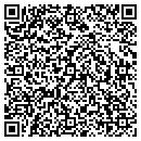 QR code with Preferred Automotive contacts