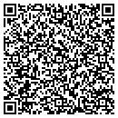QR code with Problematics contacts