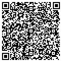 QR code with MSG contacts