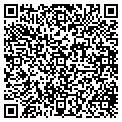 QR code with PAVL contacts