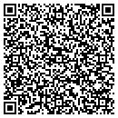 QR code with Practice Tee contacts
