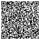 QR code with Pulaski Auto Service contacts
