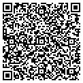 QR code with K-Line contacts