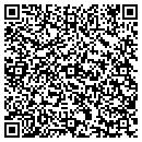 QR code with Professional Prfmce Auto Service contacts